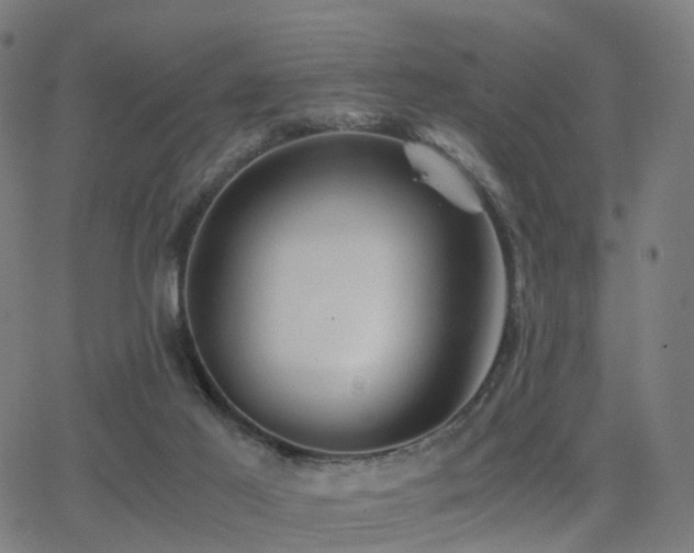 X0000062830021200601131310