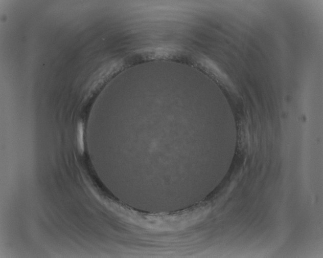 X0000062830022200601131310