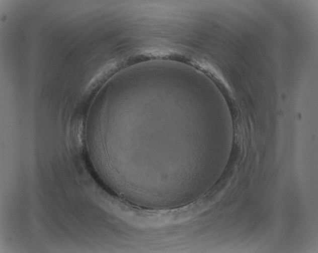 X0000062830023200601131310