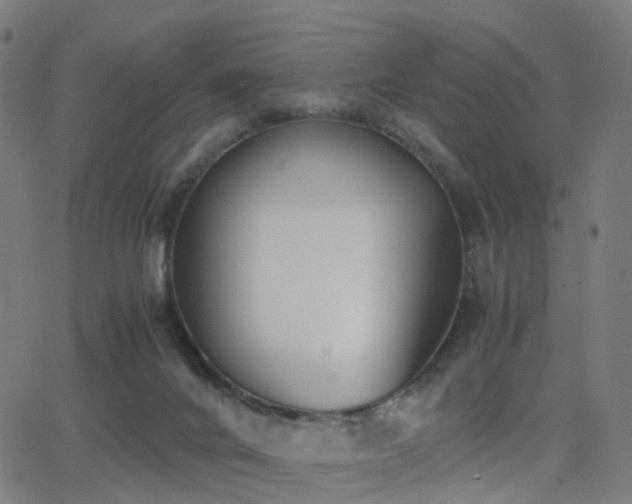 X0000062830024200601131310