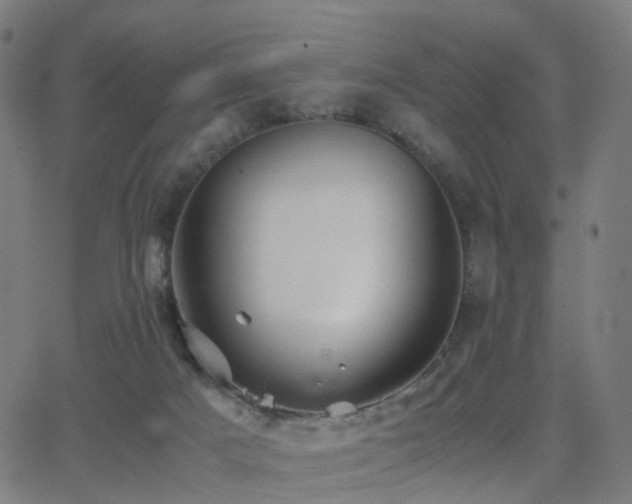 X0000062830025200601131310