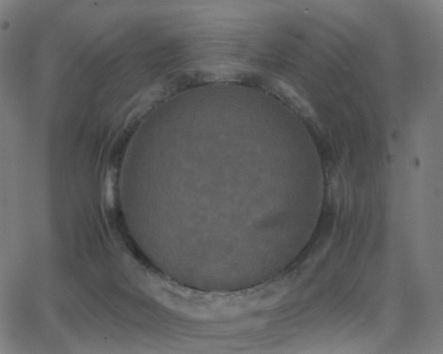 X0000062830026200601131309