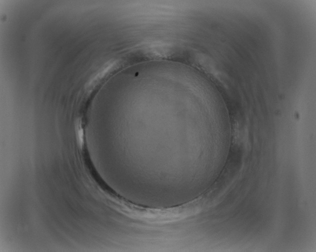 X0000062830027200601131309