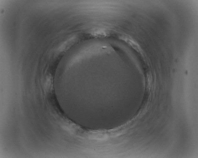 X0000062830029200601131309