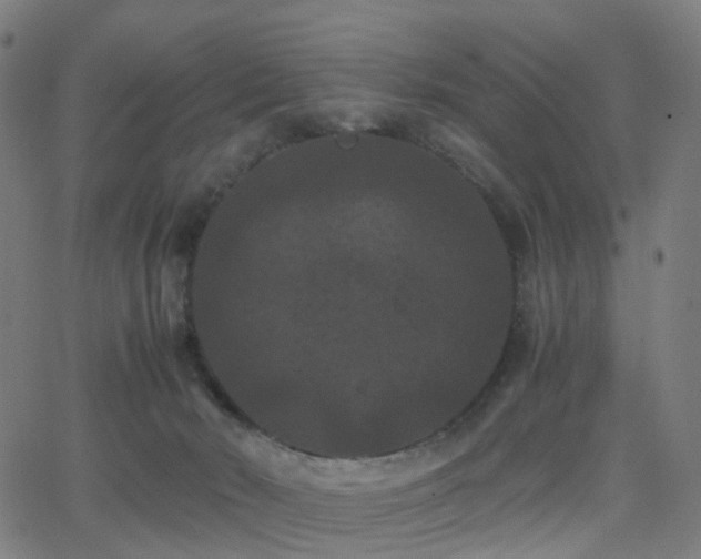 X0000062830030200601131309