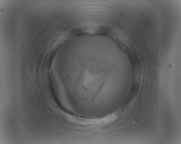 X0000062830031200601131309