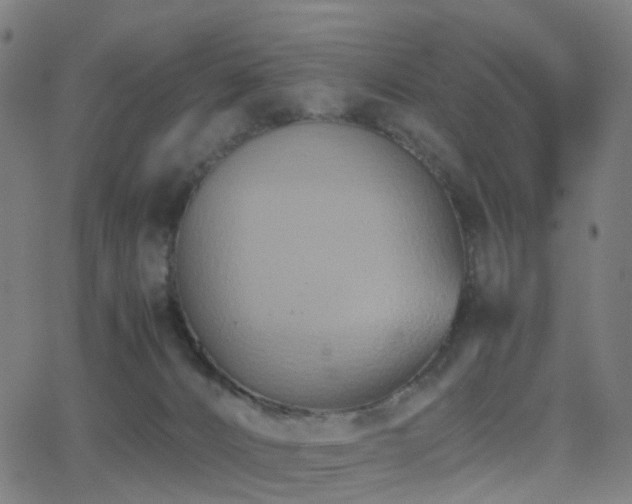 X0000062830032200601131309