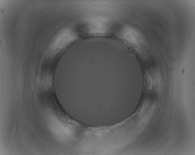 X0000062830033200601131309