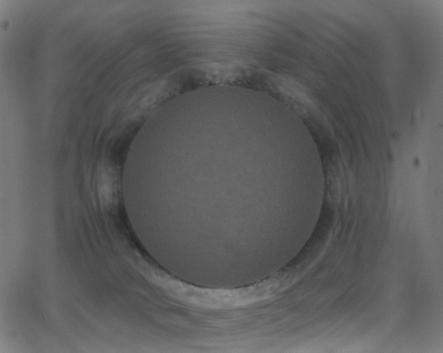 X0000062830034200601131309