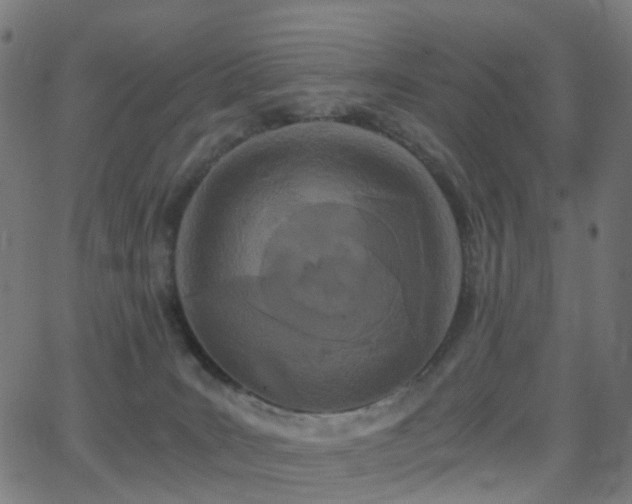 X0000062830035200601131309