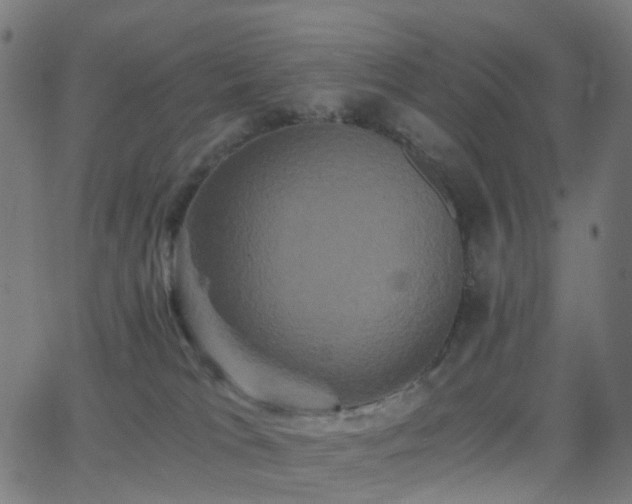 X0000062830037200601131309