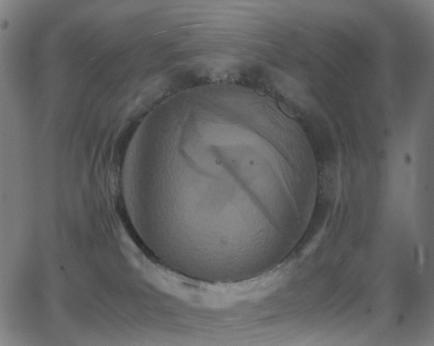 X0000062830039200601131309