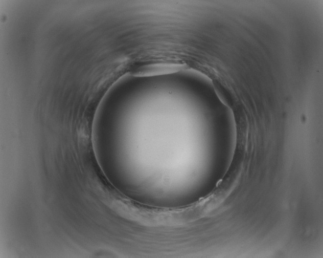 X0000062830040200601131309