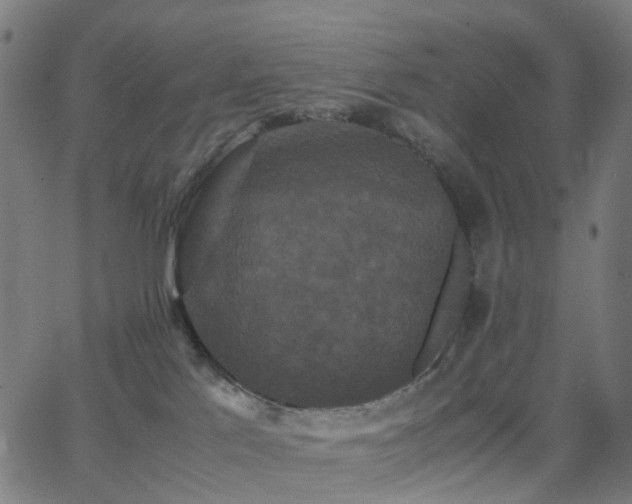 X0000062830041200601131309