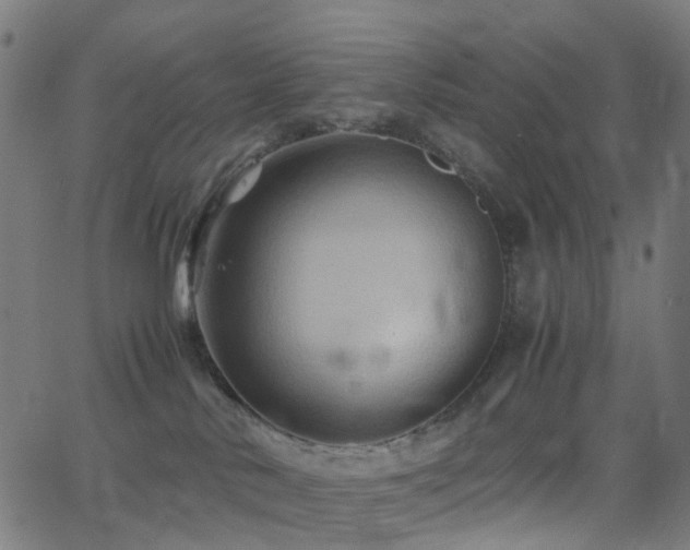 X0000062830042200601131309