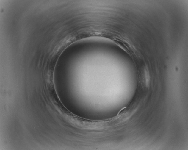 X0000062830044200601131309