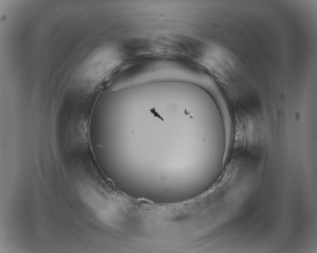 X0000062830045200601131309