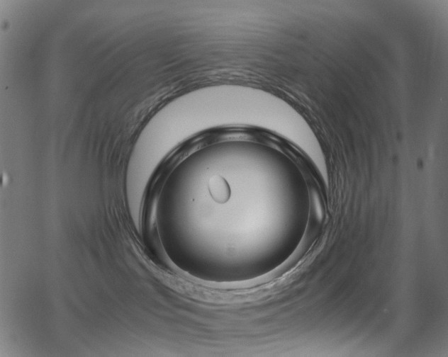 X0000062830047200601131309