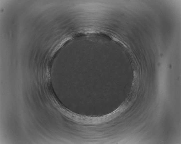 X0000062830048200601131309