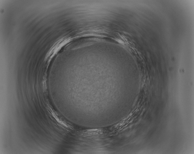 X0000062830050200601131308