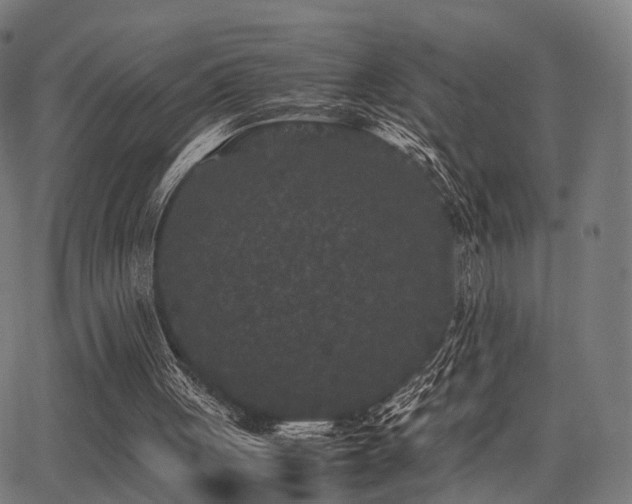 X0000062830051200601131308