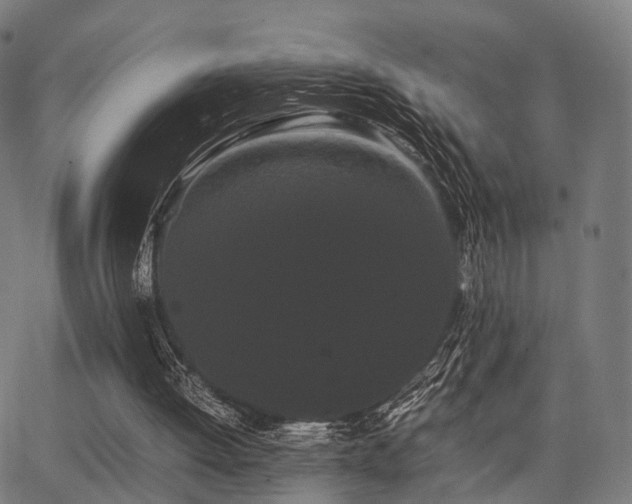 X0000062830052200601131308