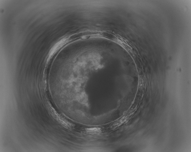 X0000062830053200601131308