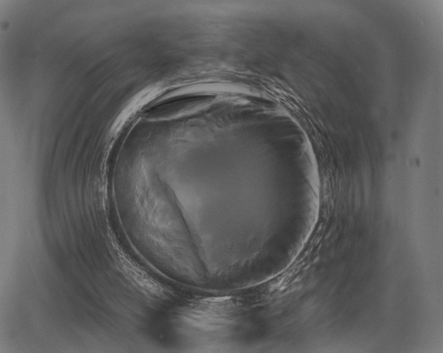 X0000062830054200601131308