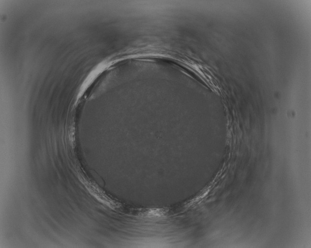 X0000062830056200601131308