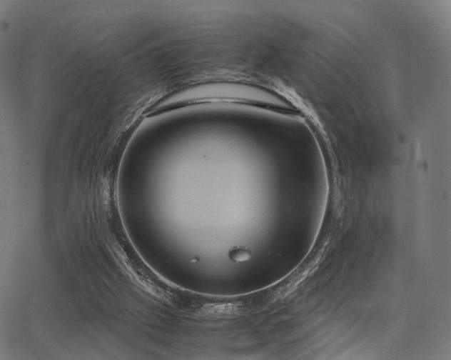 X0000062830057200601131308