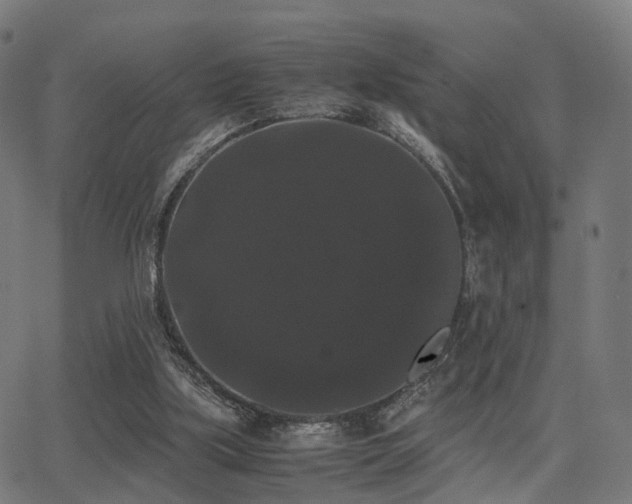 X0000062830059200601131308