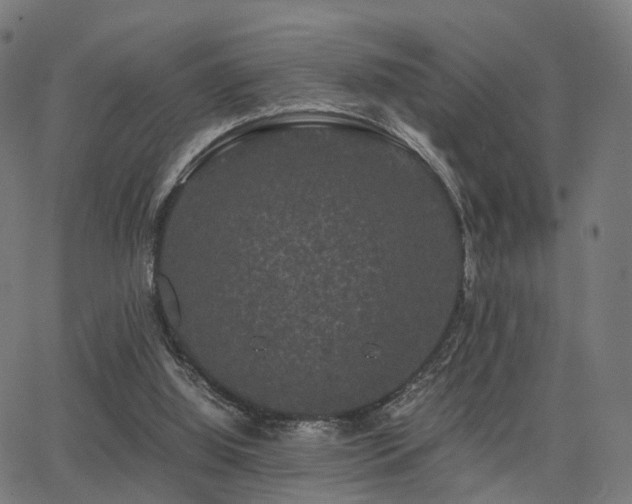 X0000062830060200601131309