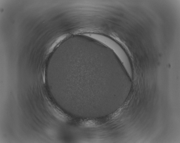 X0000062830062200601131309