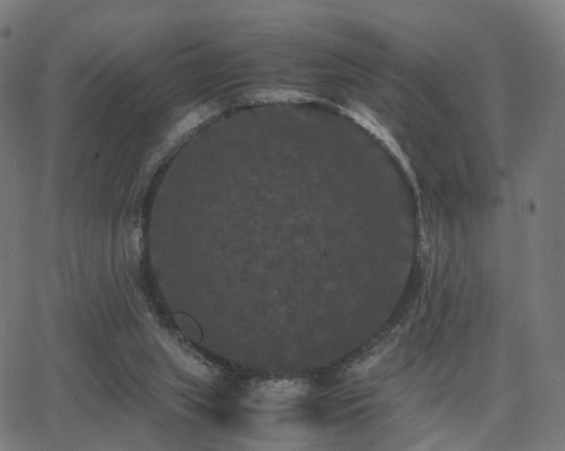 X0000062830063200601131309