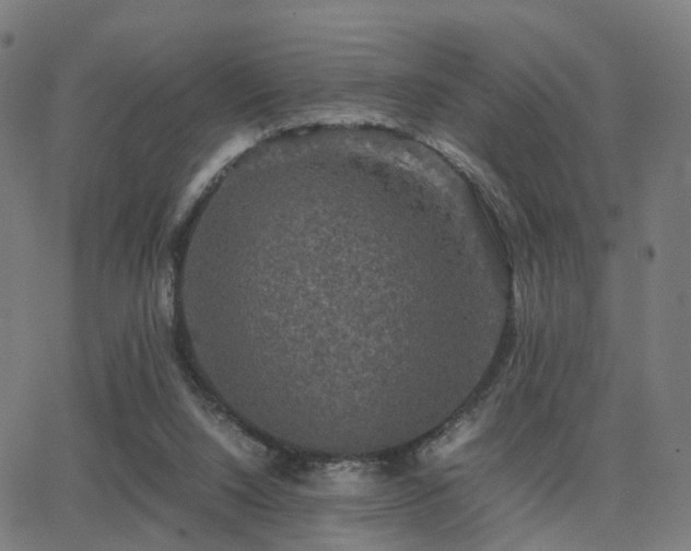 X0000062830064200601131309