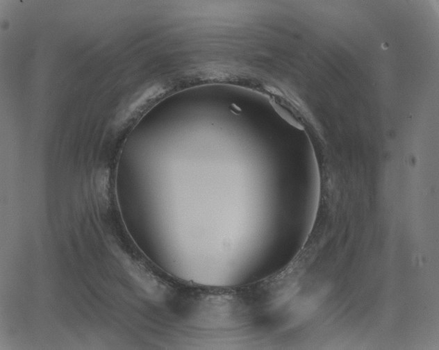 X0000062830066200601131309