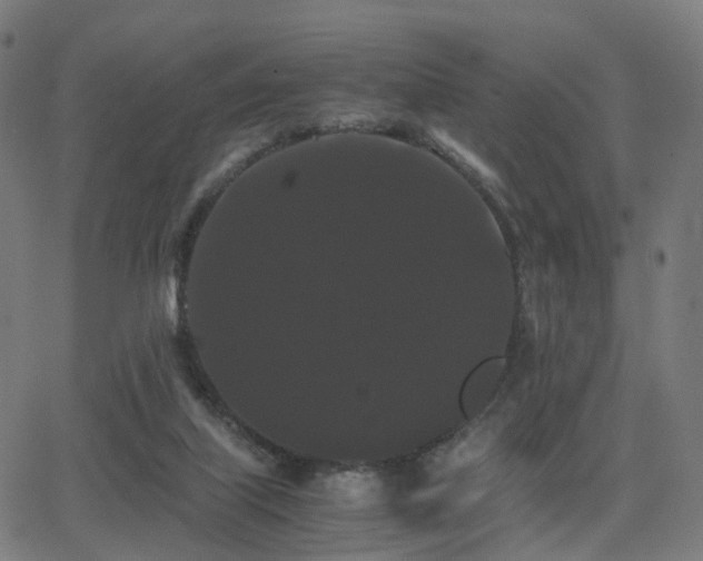 X0000062830067200601131309