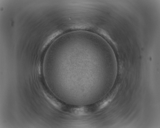 X0000062830068200601131309