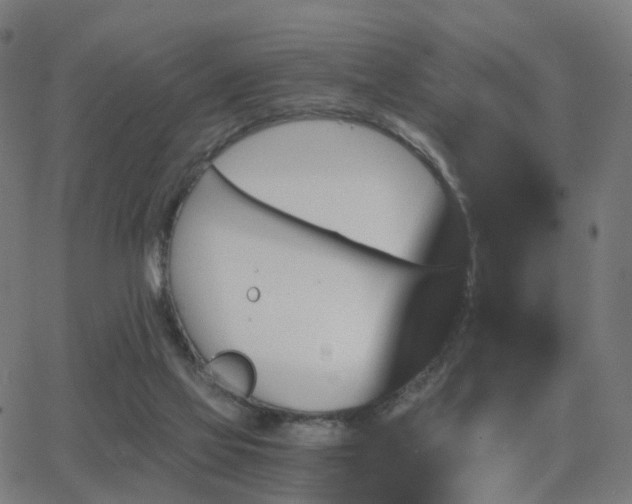 X0000062830069200601131309