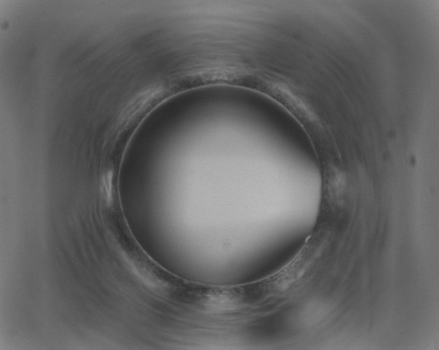 X0000062830070200601131309