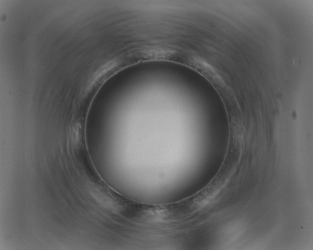 X0000062830071200601131309