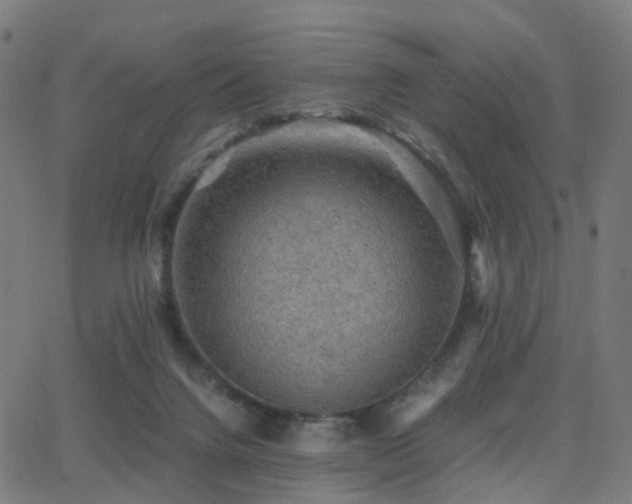 X0000062830072200601131309