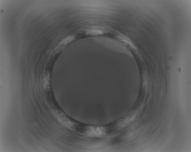 X0000062830073200601131309