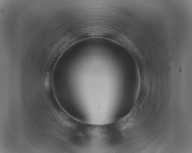 X0000062830074200601131309