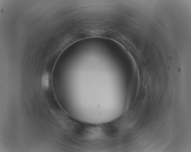 X0000062830075200601131309