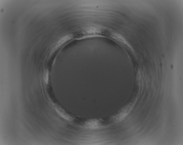 X0000062830076200601131309