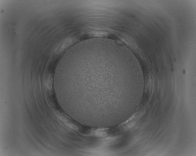 X0000062830078200601131309