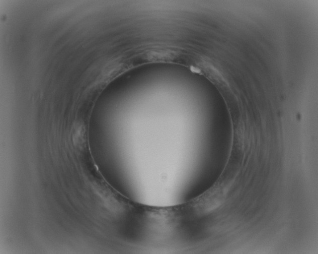 X0000062830079200601131309