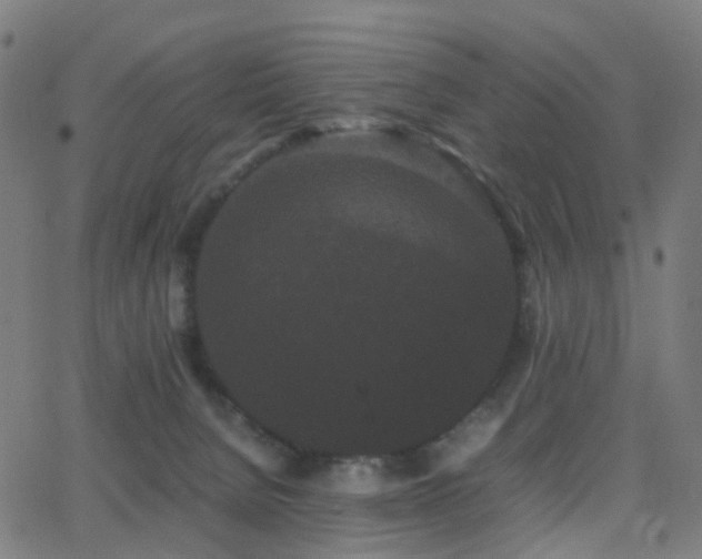 X0000062830080200601131309