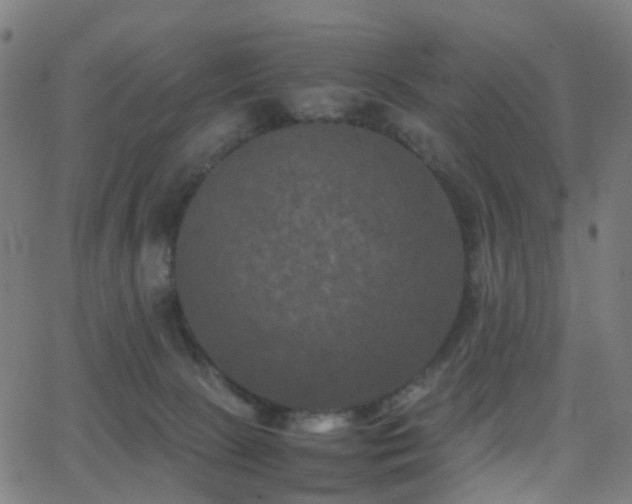 X0000062830081200601131309